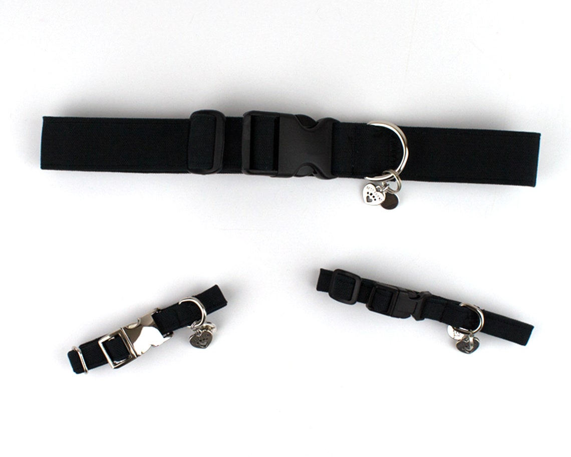 Dog Collar Black X Small Dog Collar to X Large Dog Collar Etsy