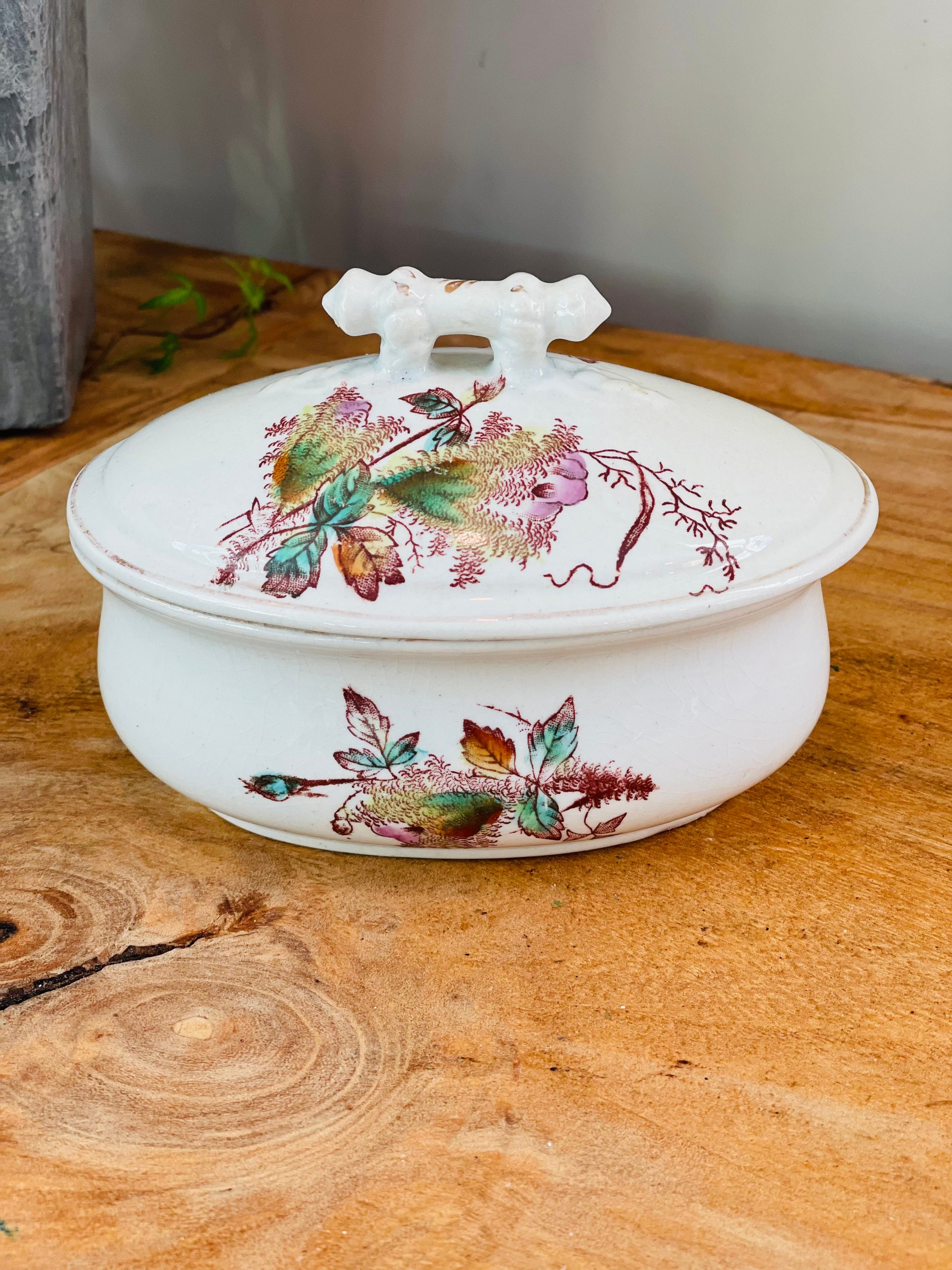 Victorian Period Ironstone Lidded Crock, Covered Dish