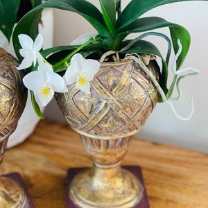 May include: A white orchid plant with white flowers in a gold and brown decorative pot with a burgundy base.