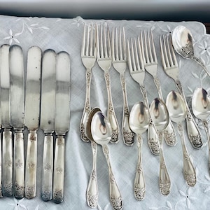 May include: A set of silver-toned flatware including six dinner knives with straight blades, five forks, and six spoons. Each piece features a decorative embossed pattern of grapes and leaves on the handle, showcasing a metallic finish.
