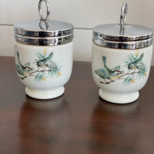 Royal Worcester Egg Coddler - Tamanho padrão, padrão de pássaro, porcelana óssea, feito na Inglaterra