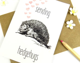 Hedgehog Greeting Card, Blank, Cute Hedgehog Print Stationary