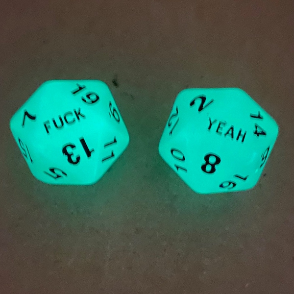 Glow in the Dark - Pair of F*uck Yeah 20 Sided Dice - D20s - Dungeons and Dragons, Pathfinder  Dungeon Master, DM, RPG