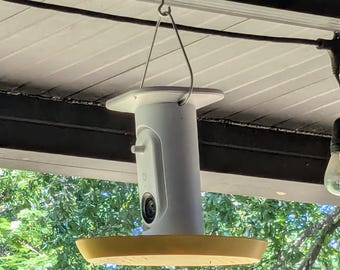 Hummingbird Feeder Add On