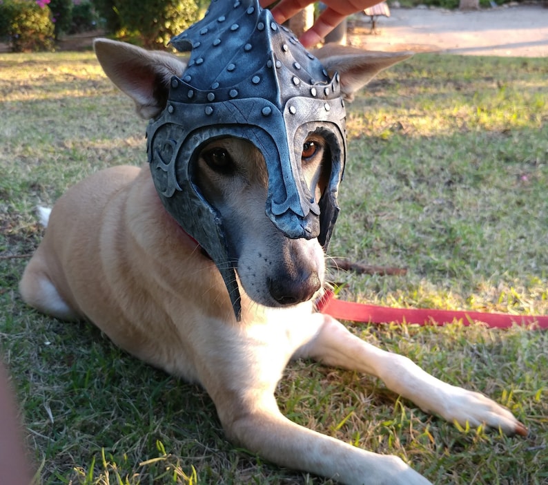 Dogs Cosplay Knight helmet