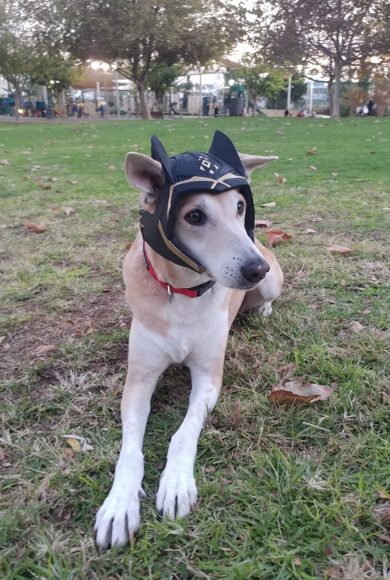 BLACK PANTHER Dog Helmet