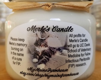 Merle's Candle: Egyptian Amber Scented Soy Candle, FIP Research Donation