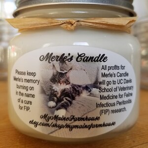May include: A white candle in a glass jar with a silver lid. The jar is tied with a brown ribbon. The label on the jar says "Merle's Candle" and includes a photo of a cat. The text on the label reads "Please keep Merle's memory burning on in the name of a cure for FIP. All profits for Merle's Candle will go to UC Davis School of Veterinary Medicine for Feline Infectious Peritonitis (FIP) research. My Maine Farmhouse etsy.com/shop/mymainefarmhouse"