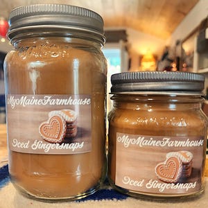 Iced Gingersnaps Soy Candle Made in Maine Gift Nontoxic Clean Burning Rustic Farmhouse Decor Baked Scent Autumn Scent Holiday Candle Vegan