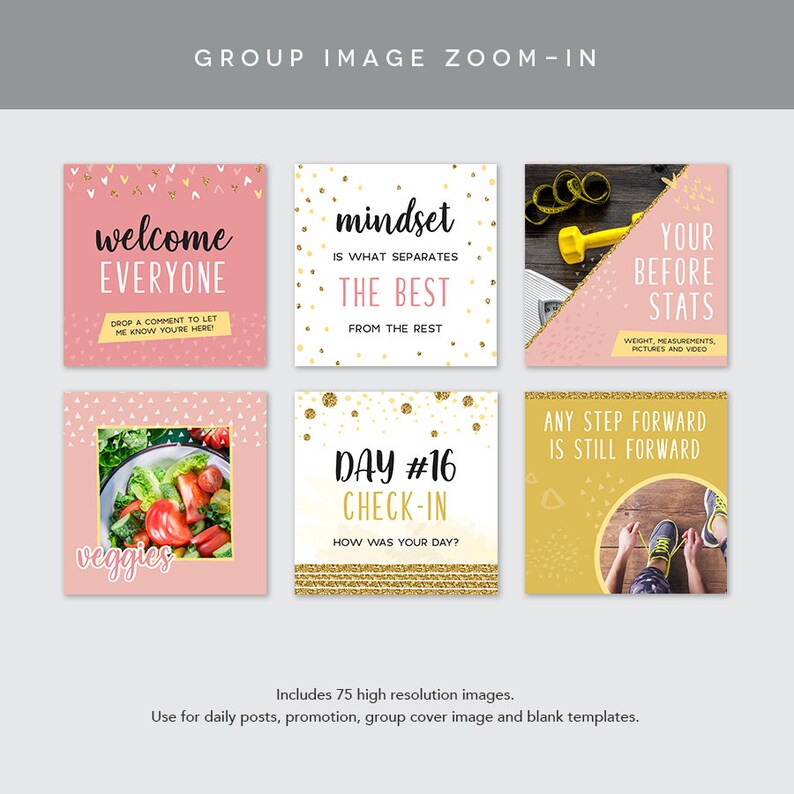 May include: A set of nine pink and gold social media graphics with motivational quotes and images. The graphics include text such as "welcome everyone", "mindset is what separates the best from the rest", "veggies", "day #16 check-in", "your before stats", and "any step forward is still forward".