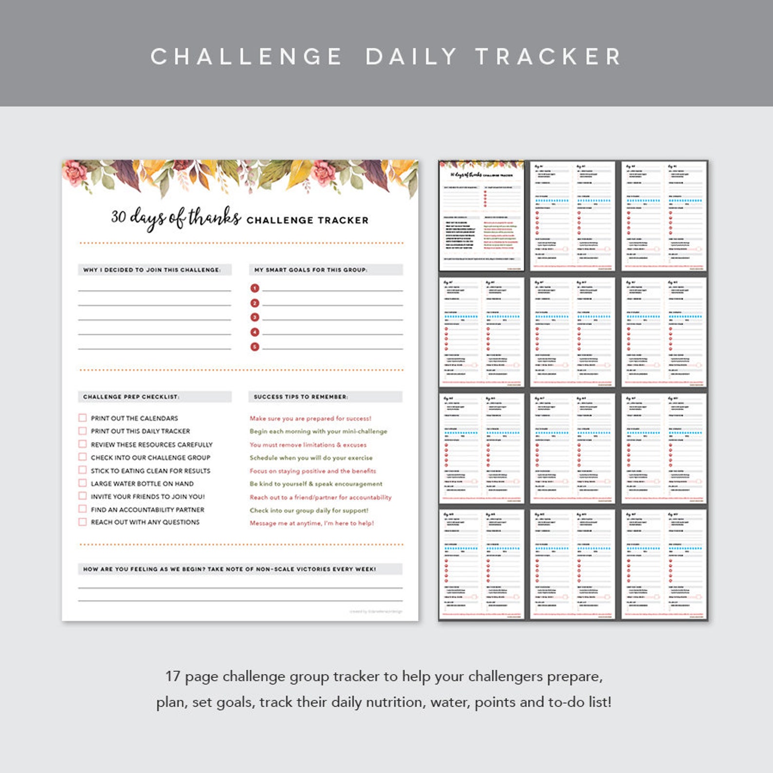 Coach Group Bundle : 30 Days of Thanks - Gratitude Challenge ...
