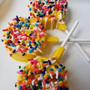 Gourmet Yellow Sunshine White Chocolate Covered Oreo Pops! Circus Carnival Tea Party Mothers Day Gender Reveal Birthday Party Favors!