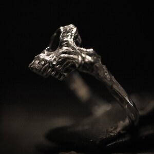 May include: A silver ring with a detailed skull design. The ring is made of metal and has a smooth finish.