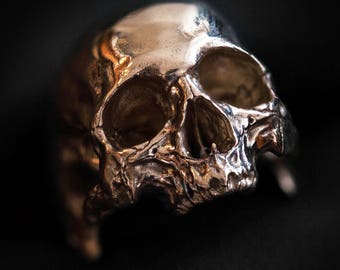 May include: A silver skull ring with detailed features. The skull is depicted with a realistic, anatomical design.