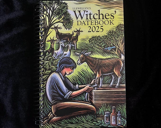 2025 Witches' Datebook by Llewellyn 2025 Planner for Witches, Pagans