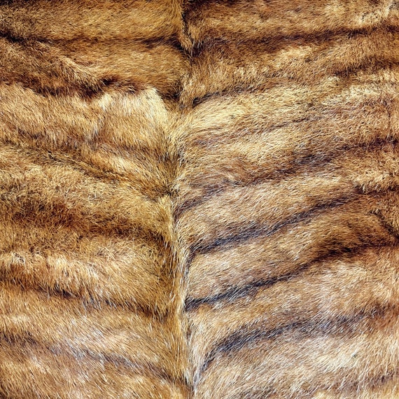 Vintage Mink Stole | 1950s Genuine Mink Wrap | Bi… - image 3