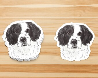 Add on: Vinyl Stickers