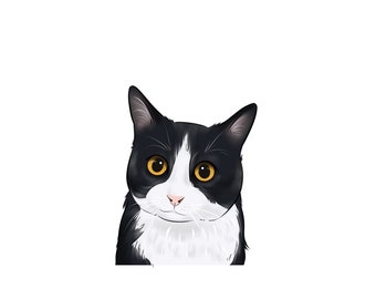 Cat Mom Gift/ Custom Cat Portrait/Cat Cartoon/ Cat Drawing/ Cat Loss Gift/ Custom Pet Portrait/ Cat Drawing/ Custom Painting C01