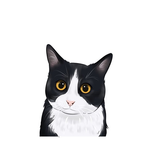 Cat Mom Gift/ Custom Cat Portrait/cat Cartoon/ Cat Drawing/ - Etsy Cat Mom Gift/ Custom Cat Portrait/cat Cartoon/ Cat Drawing/ - Etsy