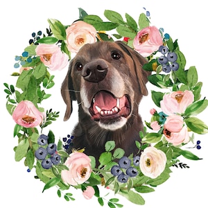 May include: A chocolate brown Labrador Retriever dog with a pink nose and tongue sticking out, looking directly at the camera. The dog is surrounded by a wreath of pink flowers, green leaves, and blue berries.