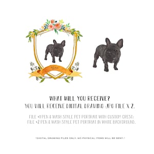 May include: Digital illustration of a French Bulldog in a watercolour style. The dog is in a gold crest with a floral border and the name "Boe" written below. The illustration is on a white background.