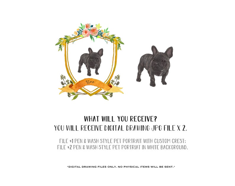 May include: Digital illustration of a French Bulldog in a watercolour style. The dog is in a gold crest with a floral border and the name "Boe" written below. The illustration is on a white background.