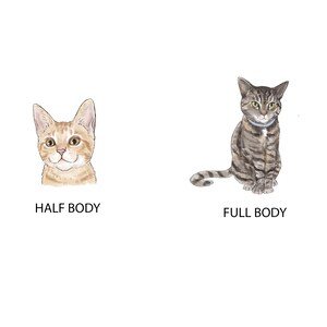 May include: Two illustrations of cats. The first image shows a close-up of a light orange tabby cat with green eyes. The second image shows a full-body illustration of a grey tabby cat with green eyes sitting on a white background.