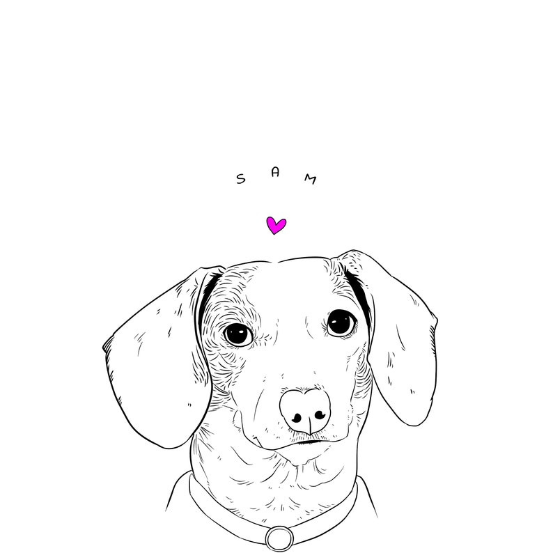 Download Cricut Engraving Print Custom Pet Portrait Digital Illustration Outline Svg Pet Portraits Art Collectibles