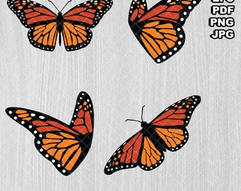 Monarch Butterfly Compilation SVG PNG Download Butterfly Wings Vinyl Decal Vector Graphic Iron-On Clipart Four Variations Cricut Cut File