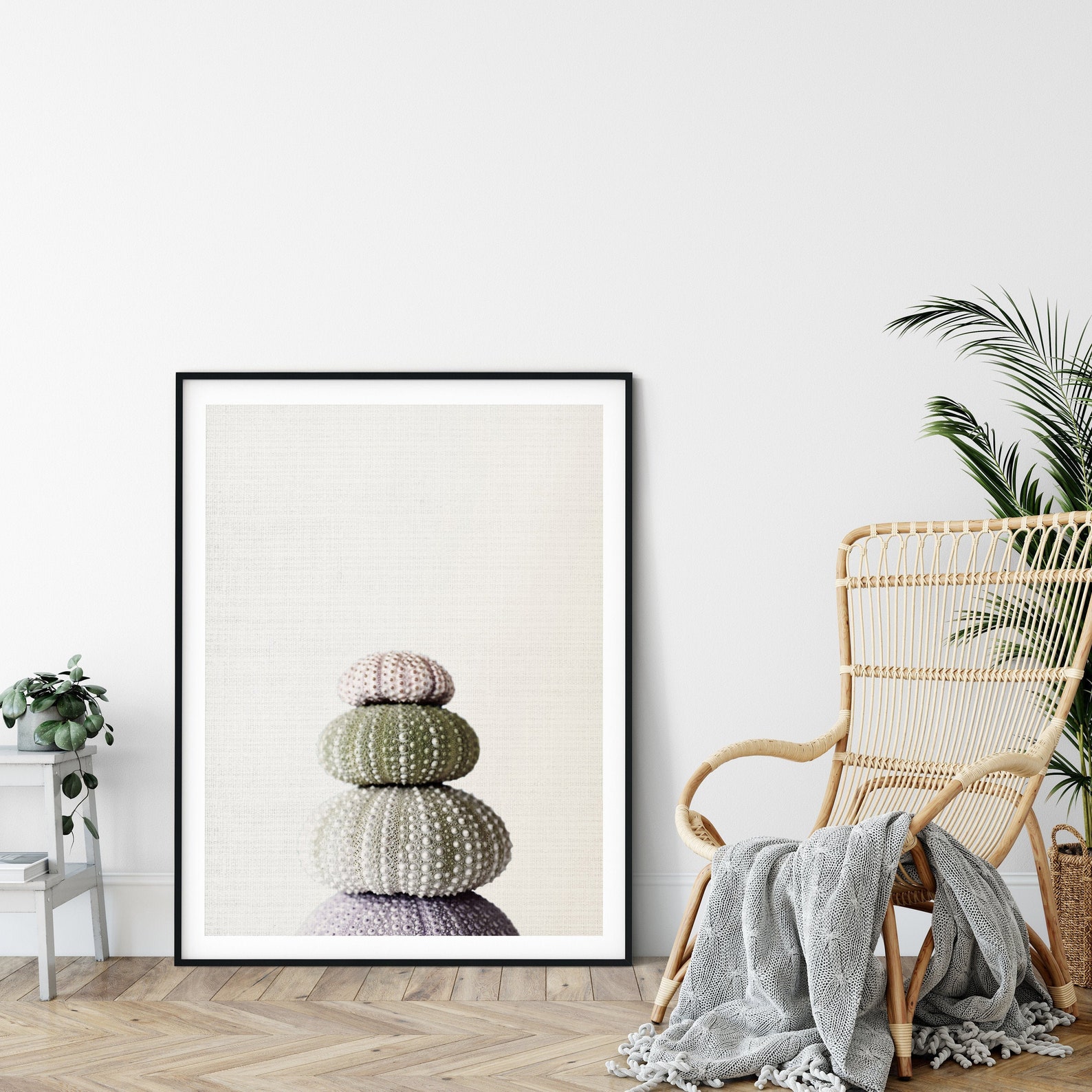 Sea Urchin Shell Print Marine Wall Art Sea Urchin Decor For | Etsy