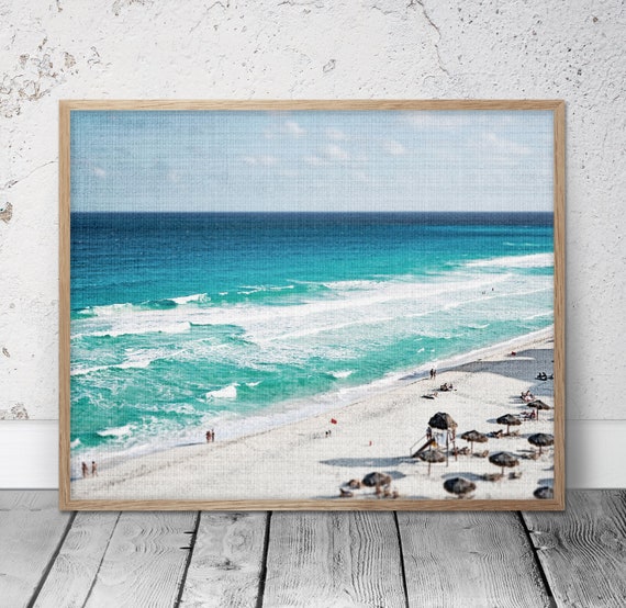 SEASHELLS SHELLS ILLUSTRATION SEASIDE BEACH SHORE ART PRINT Poster Home Decor Interior Design Wall Picture Photo A4 A3 A2 10 Size Options
