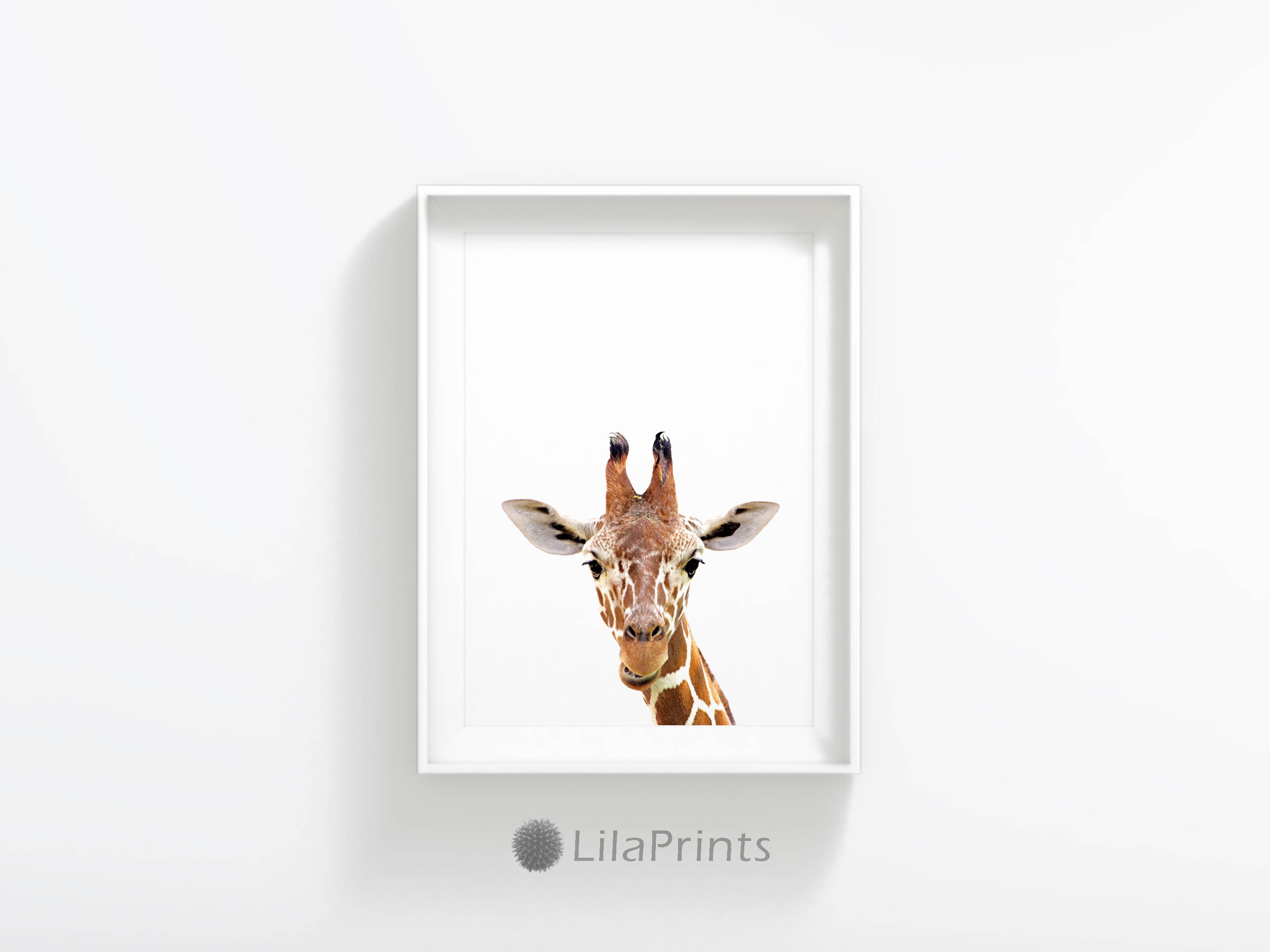 Giraffe Art African Print Giraffe Wall Decor Black White Etsy