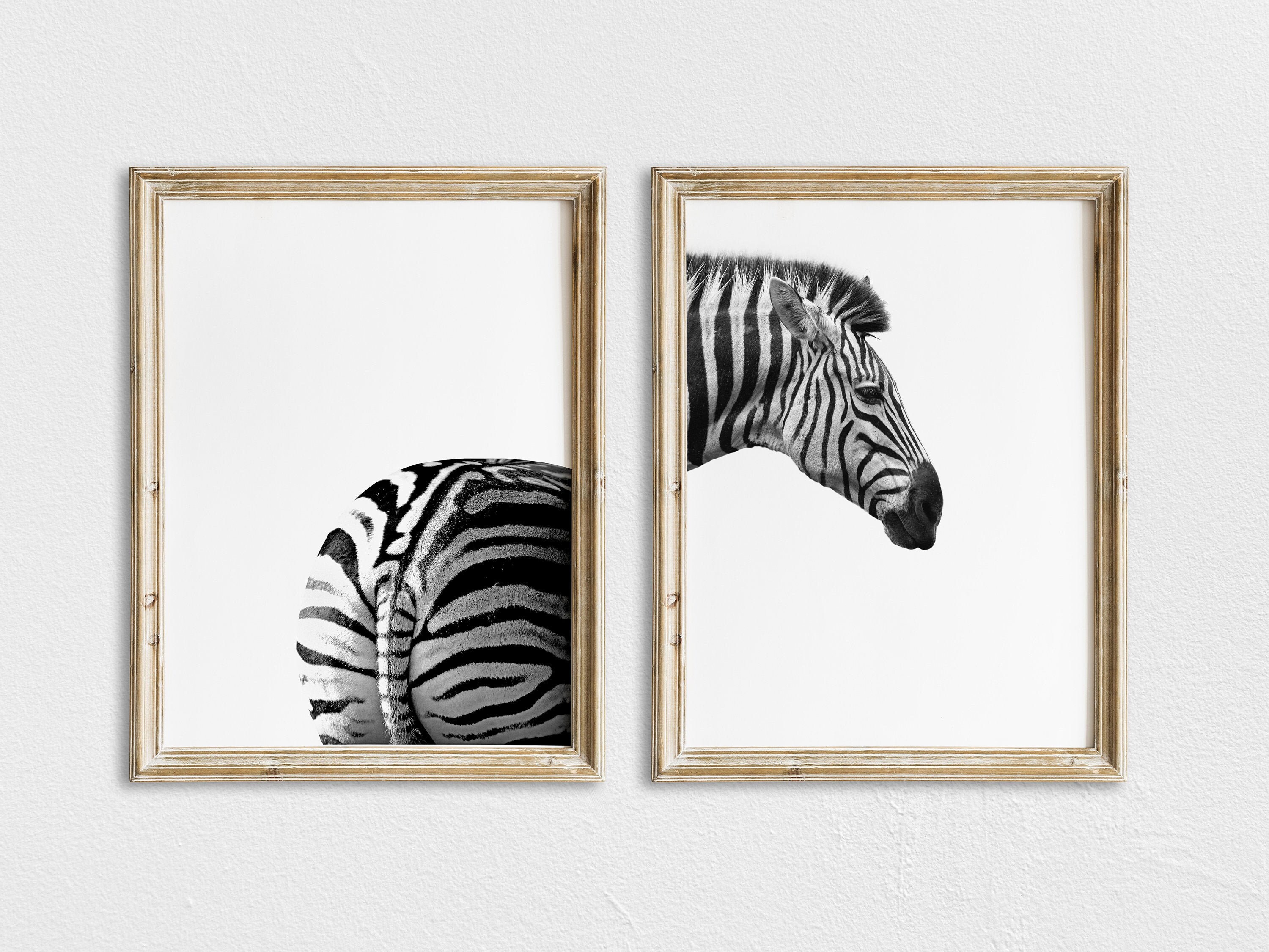 Zebra Print Zebra Wandkunst Kinderzimmer Tierkunst | Etsy