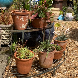 May include: A wrought iron plant stand supports several terracotta pots containing a variety of plants. The pots vary in size and shape, some showing weathering. The plants include green foliage and flowers, creating a natural garden display.