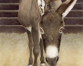 Donkey Watercolor Painting, Wall Art, Donkey Print, Giclee’ Print, 8 1/2x11