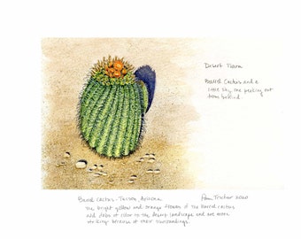 Nature Journal Watercolor Sketch, Desert Painting, Barrel Cactus, 8 1/2x11