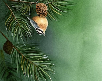 Aquarel boomklever met rode borst, kunst aan de muur vogel, vogelafdruk (6 1/2 x 10 1/2 inch)
