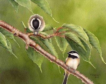 Black-Capped Chickadee Watercolor Painting, Wall Art, Giclee’ Print of Original Watercolor Painting, Bird Prints, Bird Art, 8x10 inches