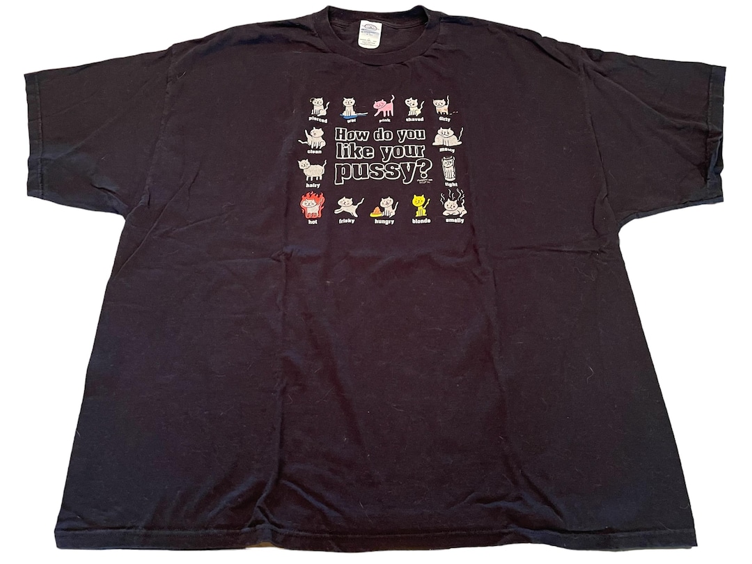 Vintage 1990s Vintage Naughtyt Shirt the Different Types of Pussy