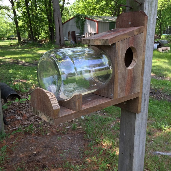 Squirrel Feeder Etsy