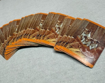 Vintage 1950s ARRCO Playing Cards: Puppies on Saddle, Barn Wood Design