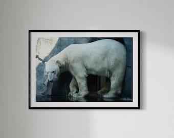 Polar Bear Photography Print: Minimalist Arctic Wildlife Art (Digital Download)