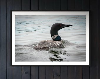 Minnesota Loon Photography Print: Rustic Cabin Lake Art (Digital Download)