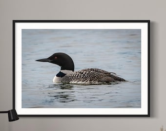 Minnesota Loon Photography Print: North Shore Lake Art (Digital Download)
