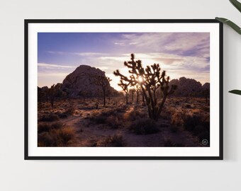 Joshua Tree Sunset Photography Print: Hidden Valley Landscape (Digital Download)