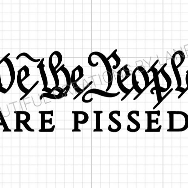 We the people are pissed decal