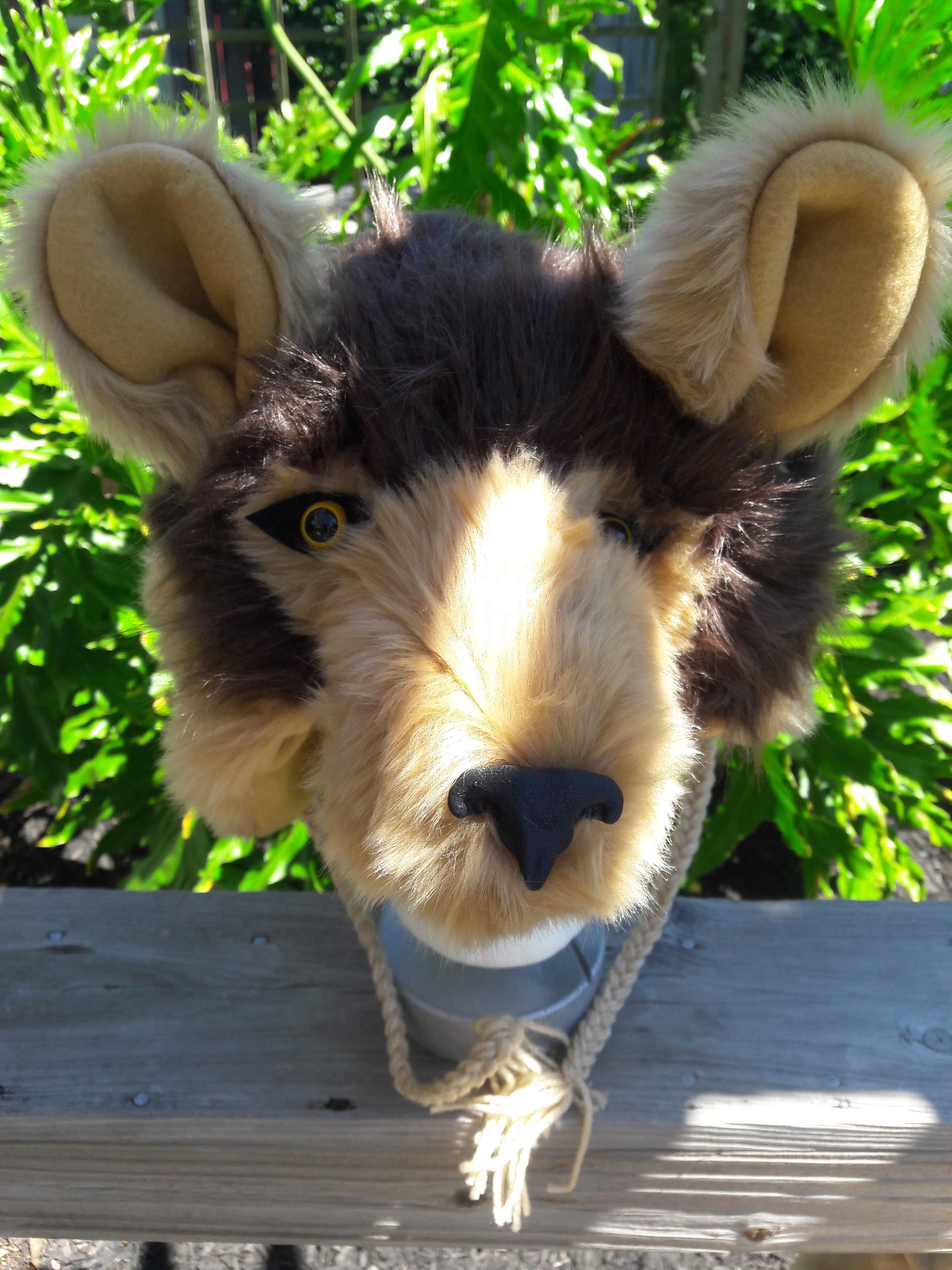 Lion Lion Hat Costume Hat Etsy