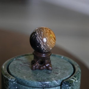 1.5” Palm Root Fossil Sphere, Crystal Ball