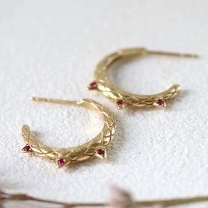 May include: Gold hoop earrings with a textured snake design and red gemstone accents.