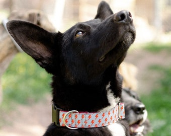 david bowie cat collar